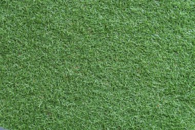 Yeşil çimen dokular
