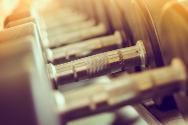 spor salonunda dambıl seti