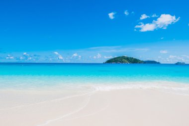 Güzel tropikal plaj