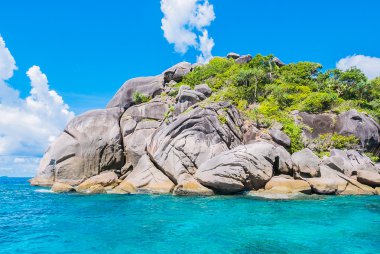 andaman Denizi tropikal plaj