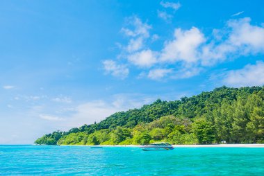 andaman Denizi tropikal plaj