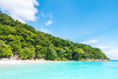 tropikal plaj manzara