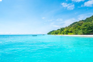 tropikal plaj manzara