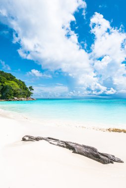 tropikal plaj manzara