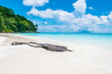 Güzel tropikal plaj