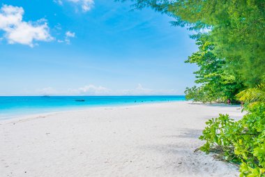 Güzel tropikal plaj