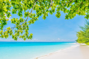 Güzel tropikal plaj