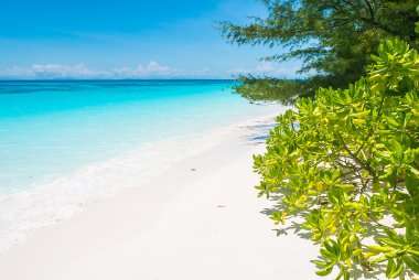 Güzel tropikal plaj