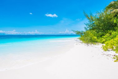 Güzel tropikal plaj