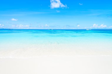 Güzel tropikal plaj