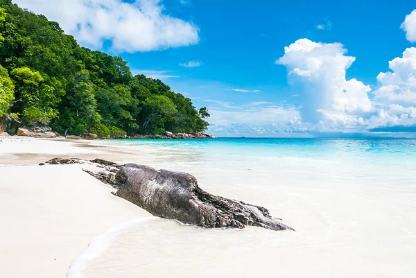 Paisaje de playa tropical — Foto de Stock