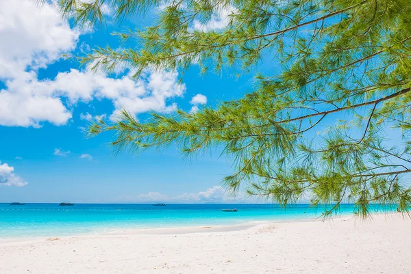 Beautiful tropical beach — Stock Photo, Image