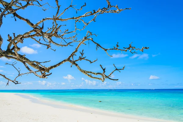 Hermosa playa tropical —  Fotos de Stock