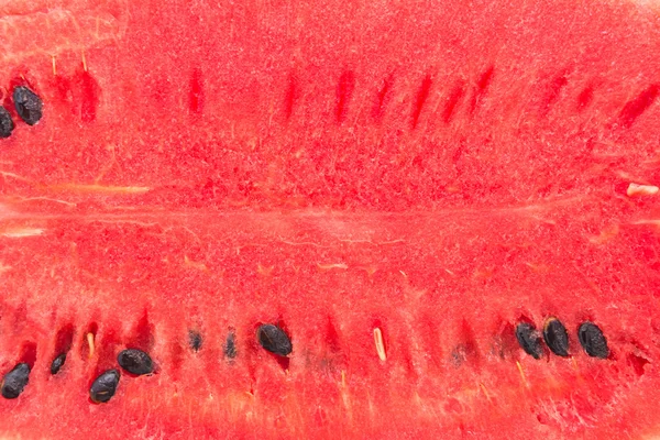 Ripe Watermelon fruit — Stock Photo, Image