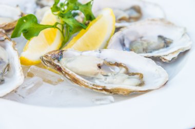 limon taze istiridye kabuğu