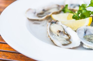 limon taze istiridye kabuğu