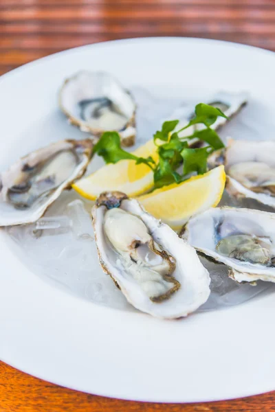 Guscio di ostriche fresche con limone — Foto Stock