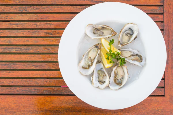 Casca de ostras frescas com limão — Fotografia de Stock