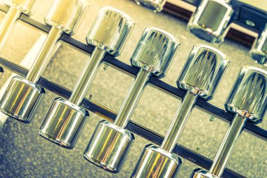 Halter spor salonunda spor