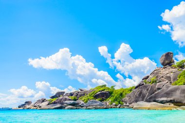 Tropik plaj ve deniz