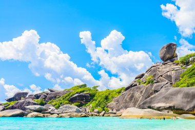 Tropik plaj ve deniz