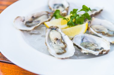 limon taze istiridye kabuğu