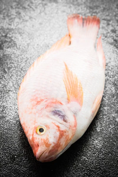 Raw tilapia fresh fish — Stock Photo, Image