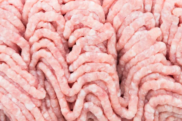 Rå köttfärs griskött — Stockfoto