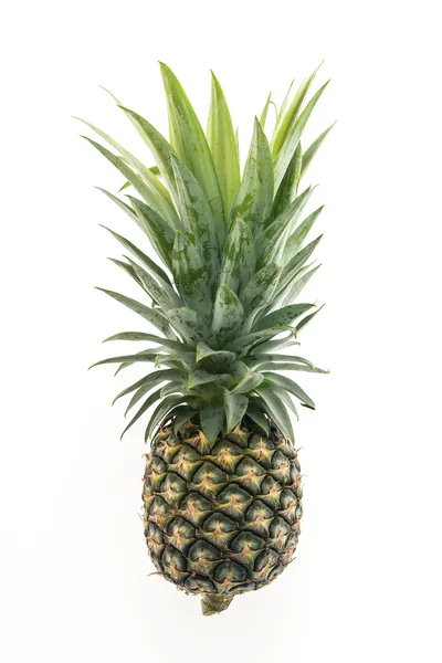 Tropik ananas meyvesi — Stok fotoğraf