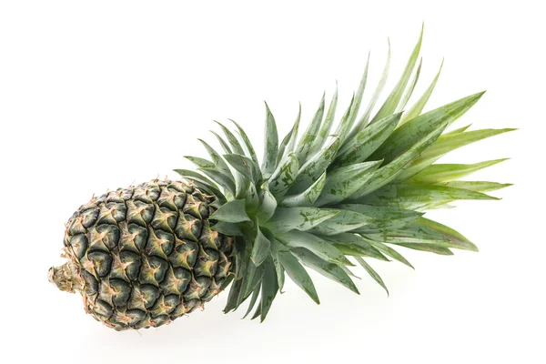 Tropik ananas meyvesi — Stok fotoğraf