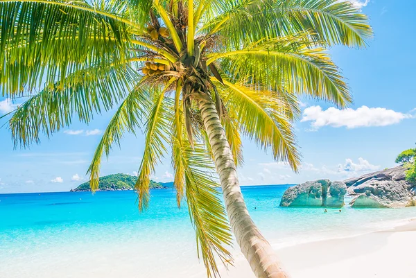 Tropisch strand en zee — Stockfoto