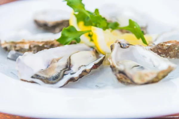 Guscio di ostriche fresche con limone — Foto Stock