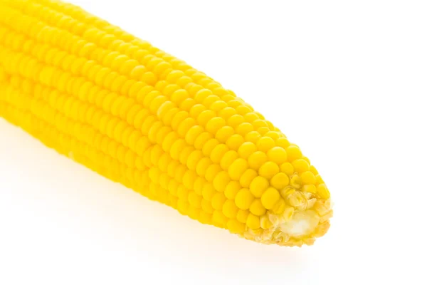 Жовтий колір кукурудзи — стокове фото