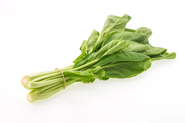 Çince lahana sebze — Stok fotoğraf