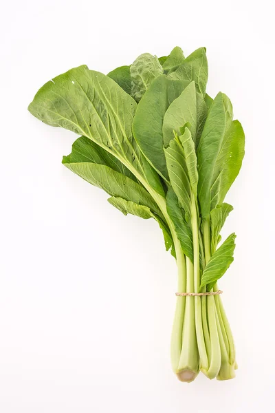 Chiński kale warzyw — Zdjęcie stockowe