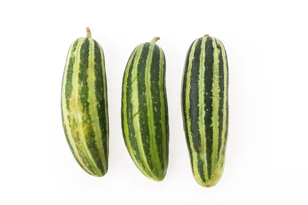 Groene kleur komkommers — Stockfoto