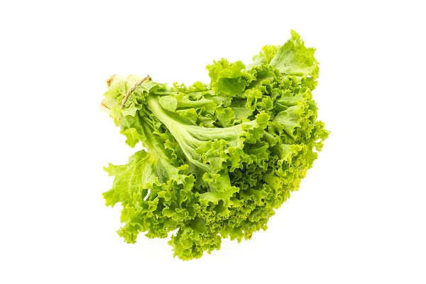 Lechuga verde fresca — Foto de Stock