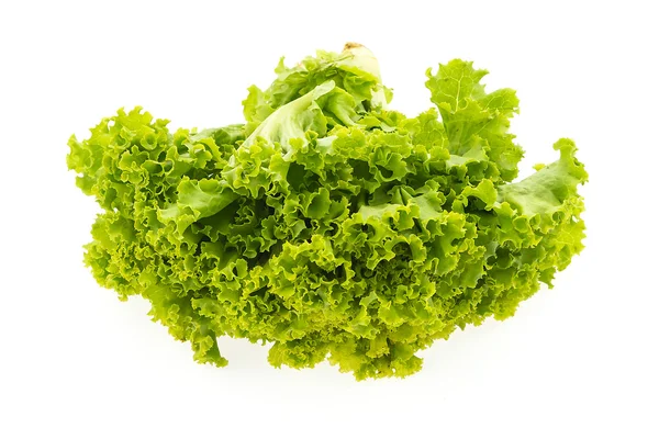Friss zöld saláta — Stock Fotó