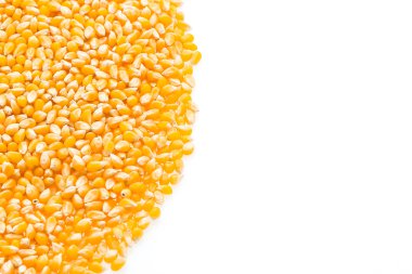 mısır koçanı tohumları