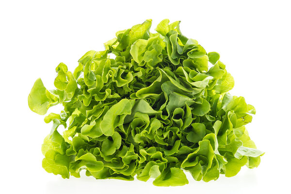 Green fresh lettuce