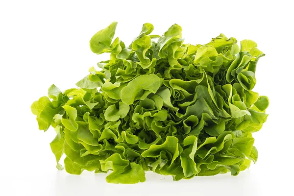 Zelený čerstvý salát — Stock fotografie