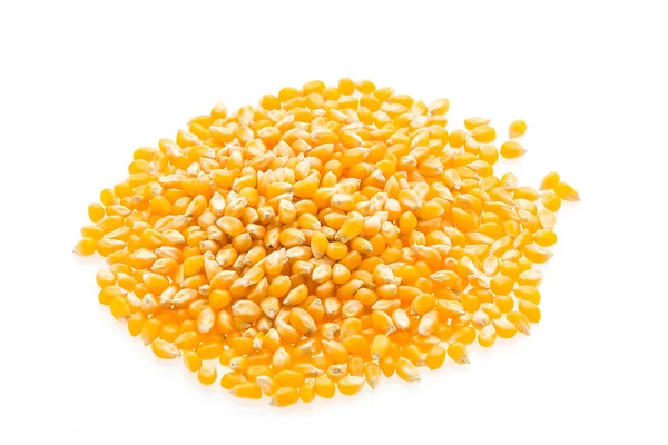 Corn cob seeds — Stock Photo, Image