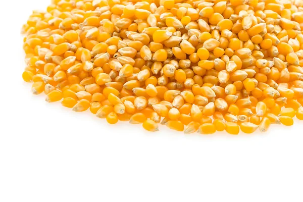 Kukorica csutka magokat — Stock Fotó