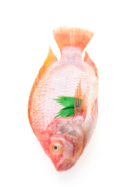 Raw fresh fish — Stock Photo, Image