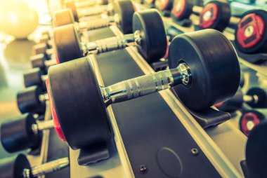 Halter spor salonunda spor