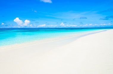 Sahilde güzel deniz dalga