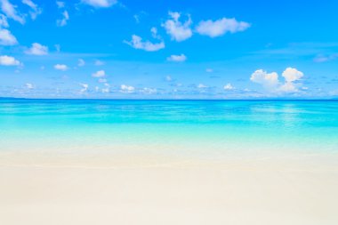 Sahilde güzel deniz dalga