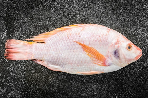 Peixe fresco de tilápia crua sobre fundo de pedra preta — Fotografia de Stock