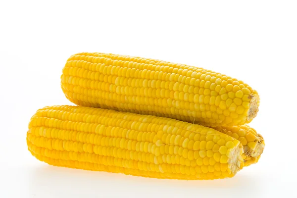 Corn isolated on white — Stock Photo, Image