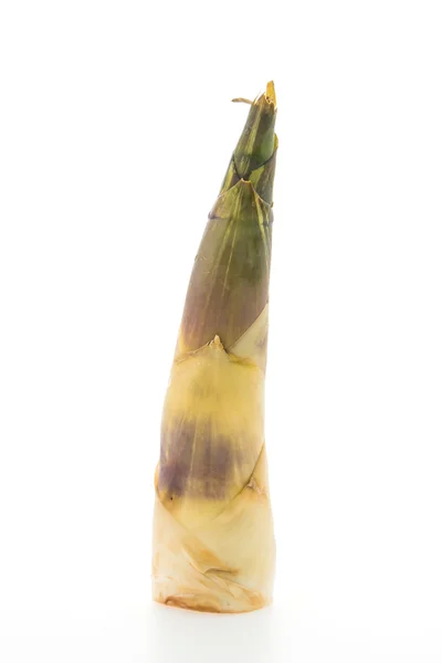 Bamboo shoot isolated — Stock Photo, Image